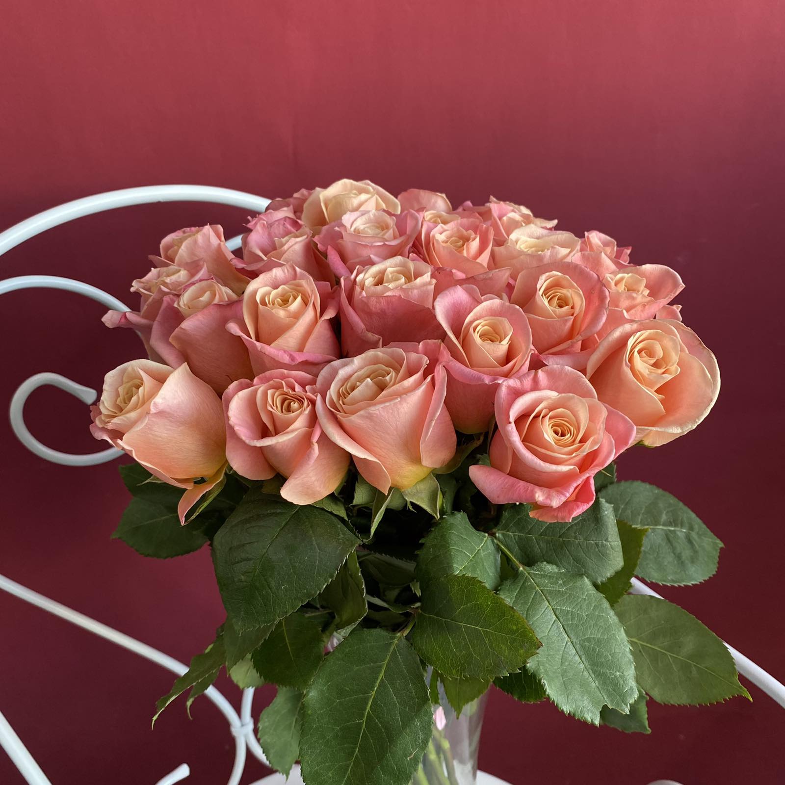 Роза Игуана 60см