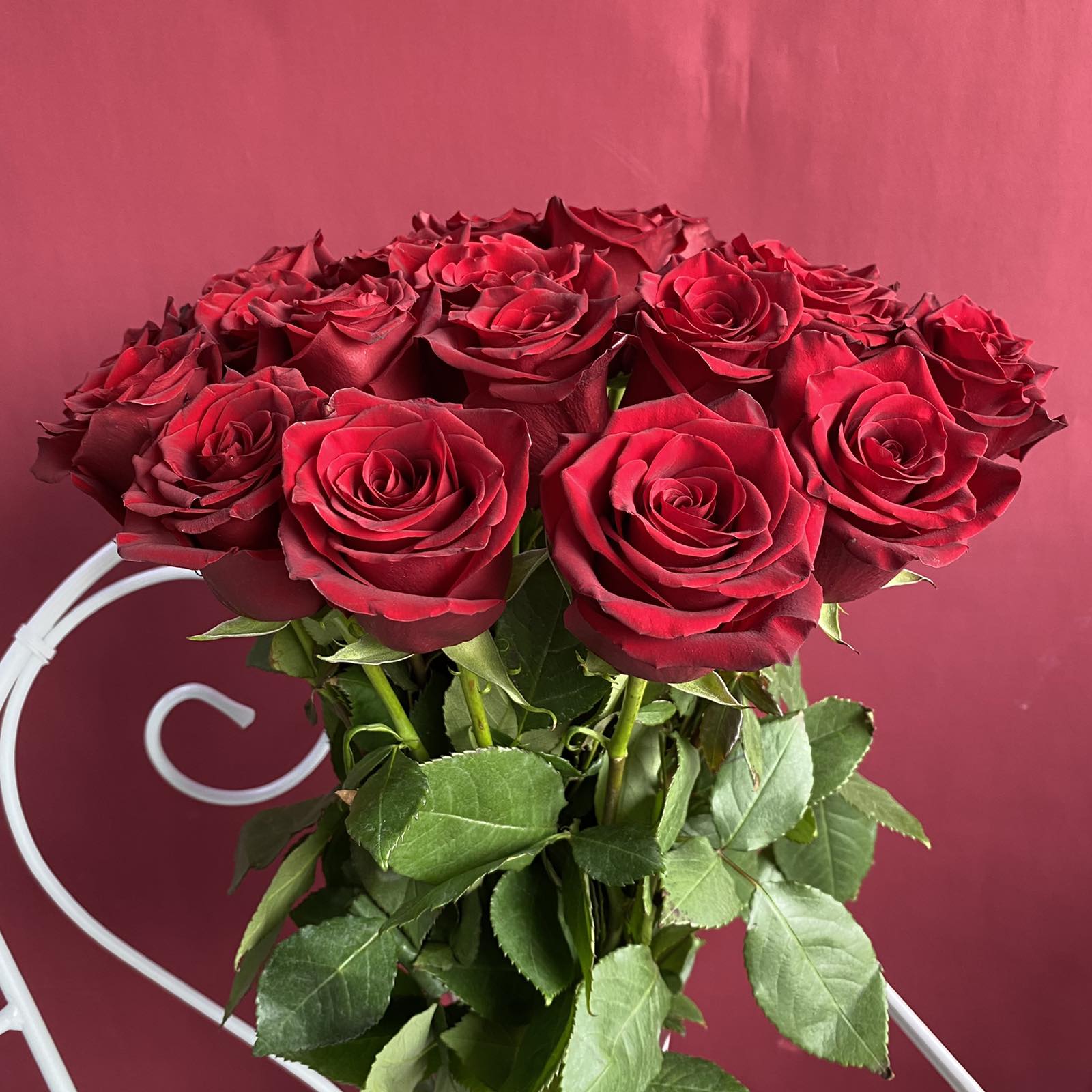 Красная роза  Эквадор  60 см