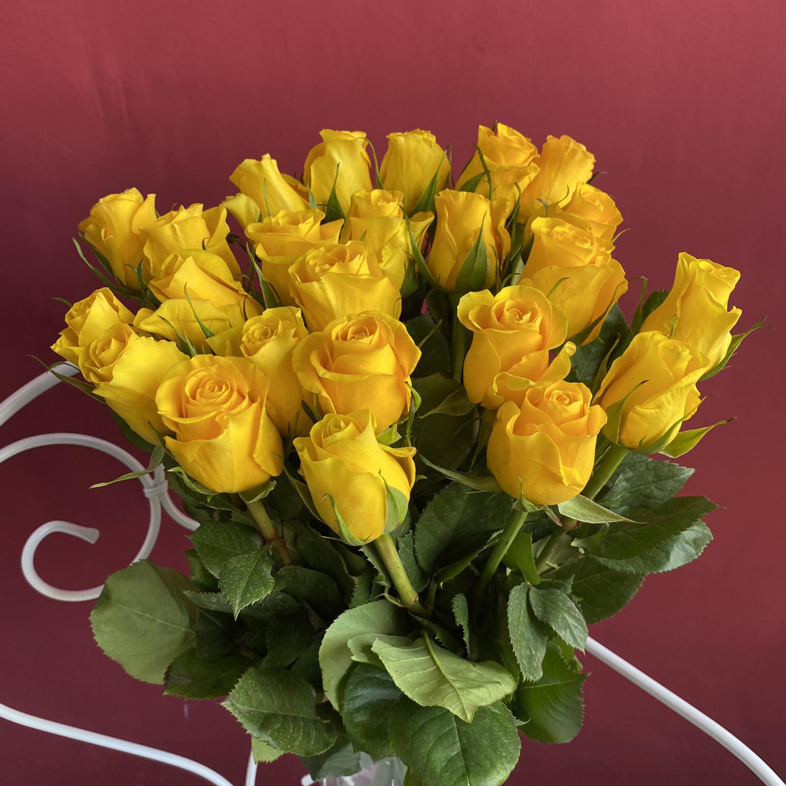 Роза Эквадор желтая 50см
