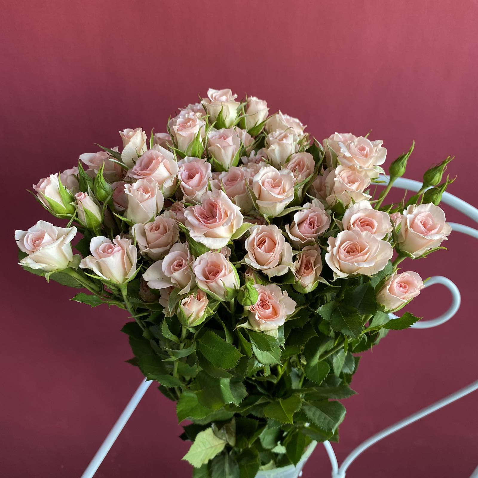 Кустовая роза Флюретта 60см
