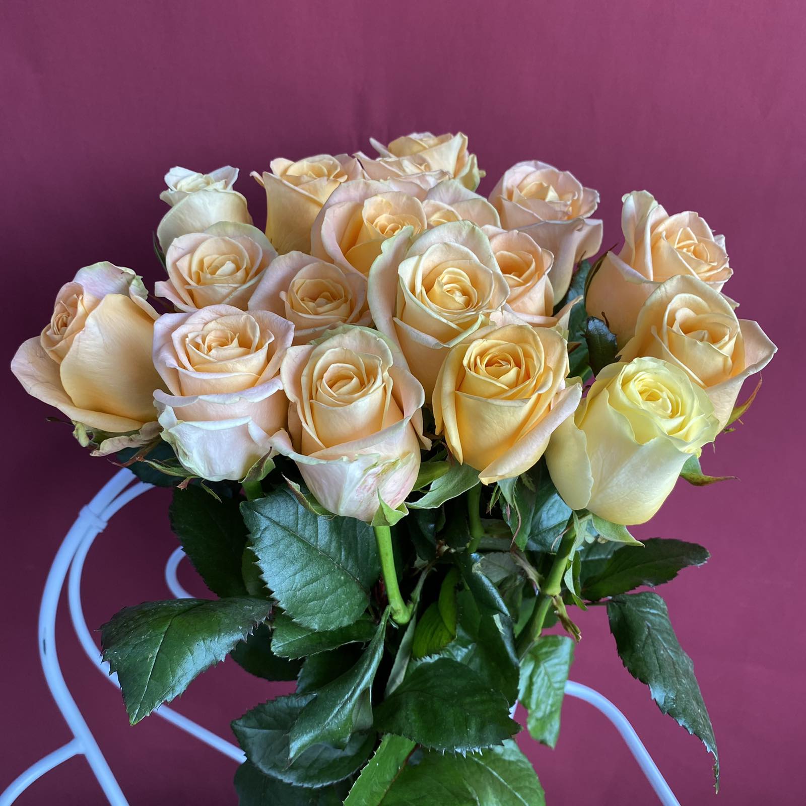 Роза Select  кремовая 50 cм