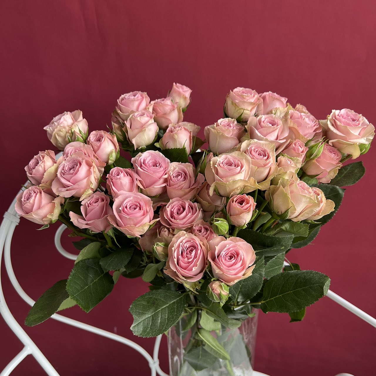 Кустовая роза Тесса 60см