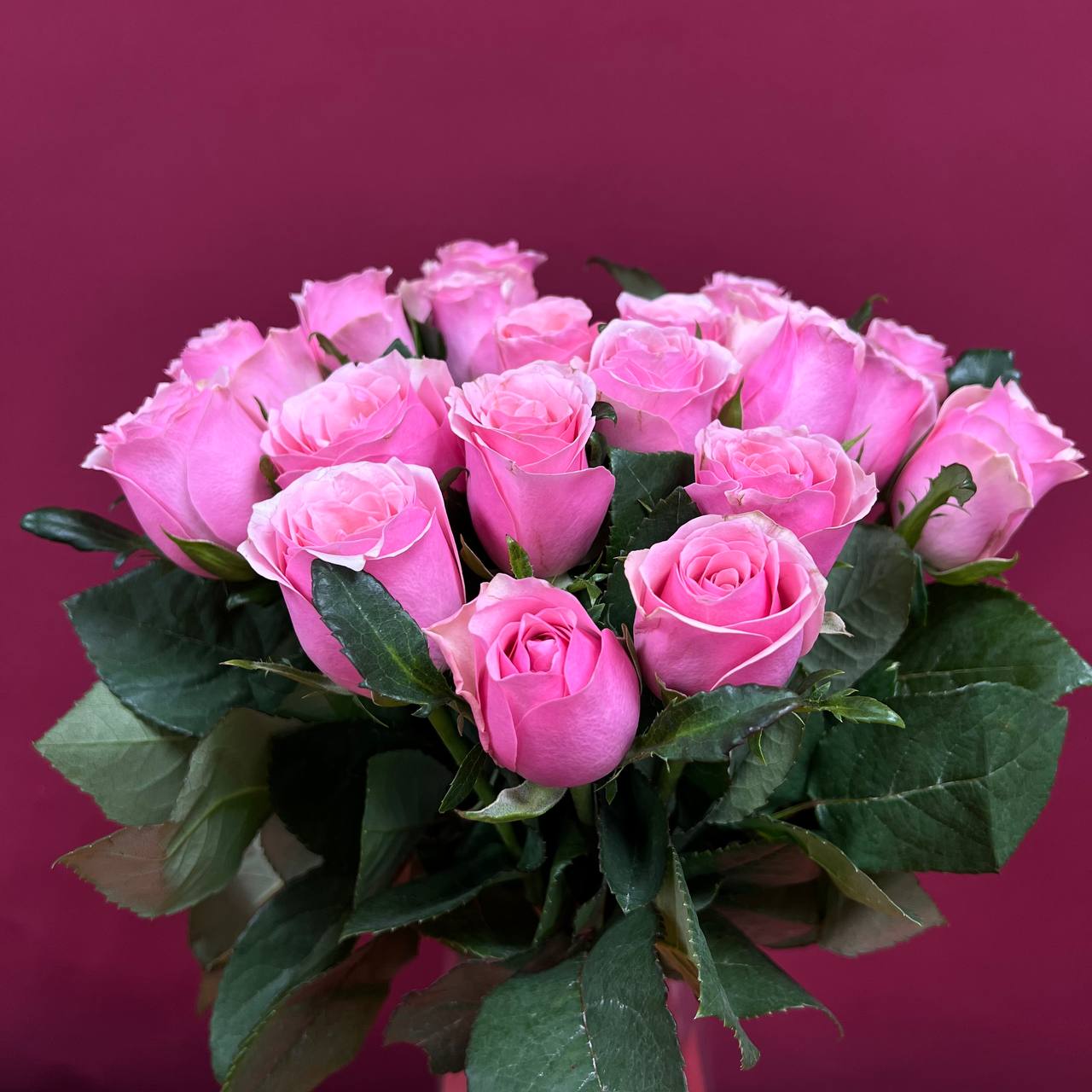 Роза Кения розовая 40см