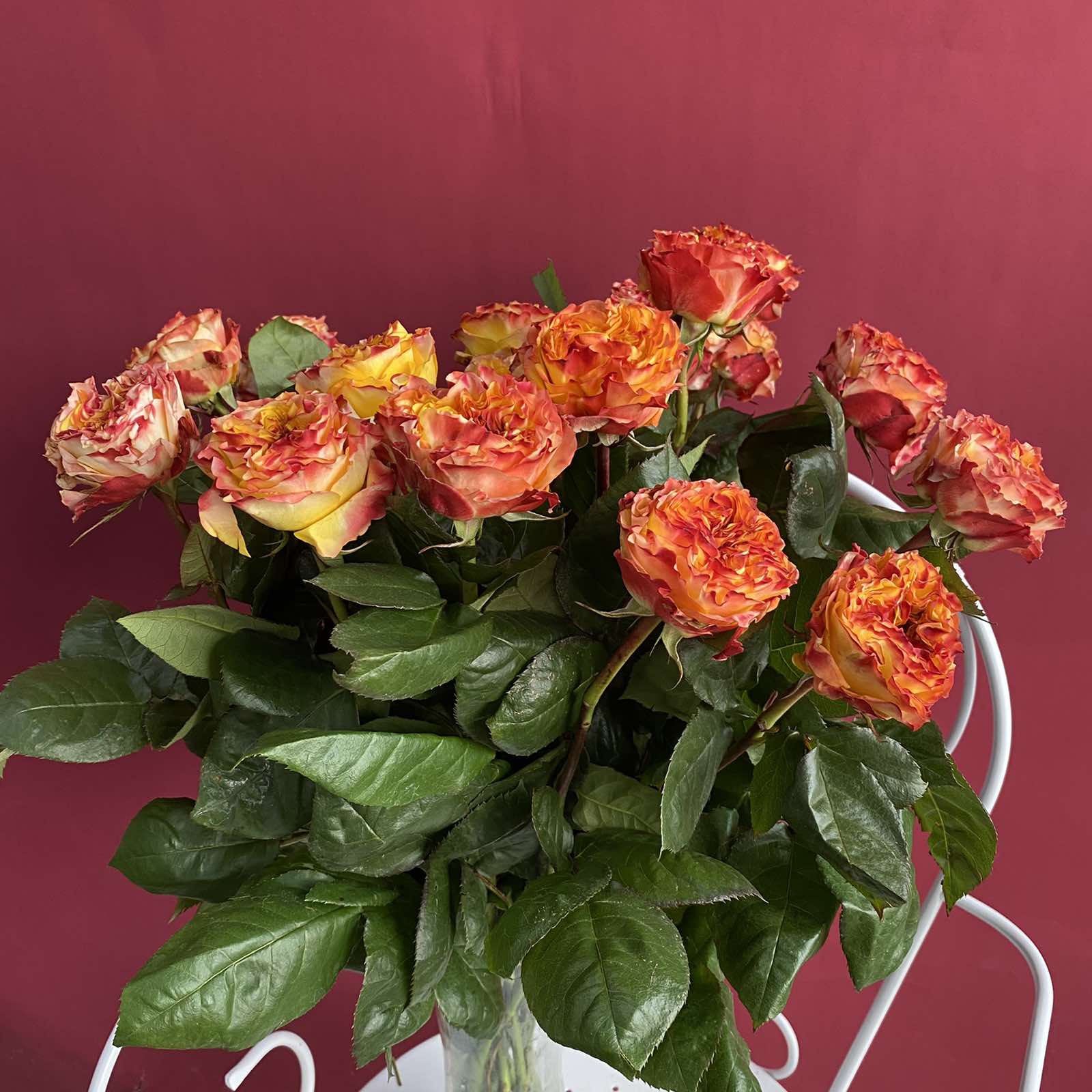 Роза рыжая 50 см