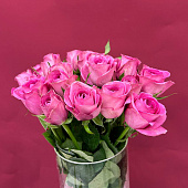 Роза Кения розовая 35-40см