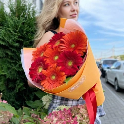 Букет из 7 ярких гербер
