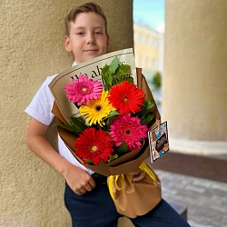 Солнечные блики